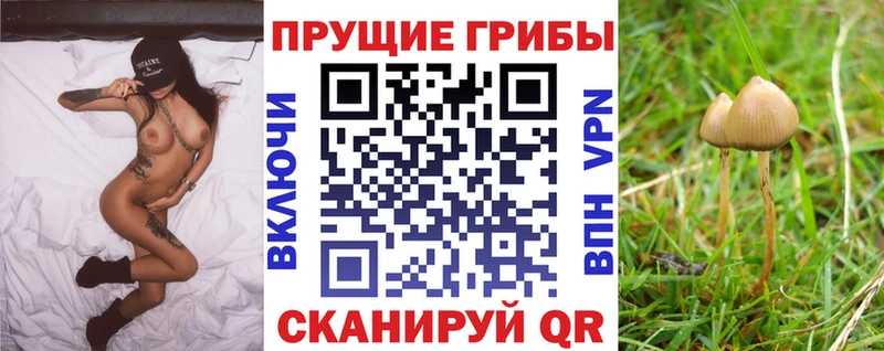 дарнет шоп Чебоксары Галлюциногенные грибы мухоморы